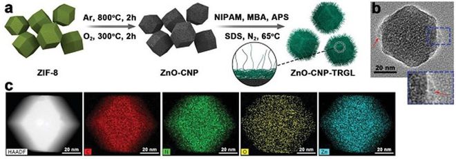 四川大学程冲、赵长生团队开发尺寸可变碳纳米材料用于化学联合光热抗菌合成材料