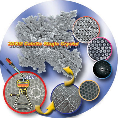仿生材料合成领域研究新进展